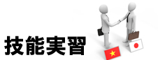 技能実習